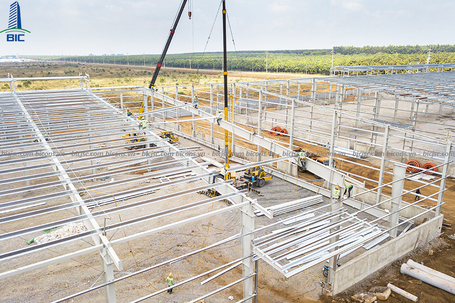 Construction and Installation of Steel Structure Factory Project Viet My Dong Nai