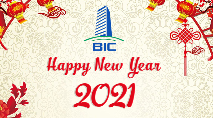 Happy New Year 2021 - BIC