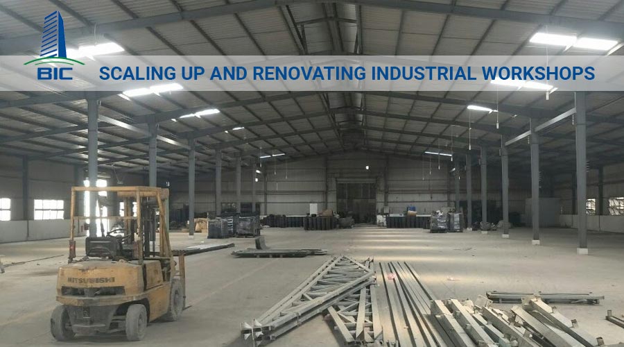 Scaling Up and Renovating Industrial Workshops
